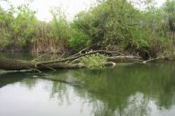 Айдар 11.05.2009г.