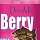 Аттрактант-спрей Fish Dream DreaMix DreaMix Berry