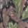 Костюм камуфляжный E 0065 №324 52-54 V рост