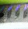 Воблер Venom Minnow 90F 8g 0-0.1m №5
