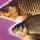 Классические прикормки FISHDREAM Универсал 1,0 кг