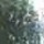 Мормышка вольфрамовая Salmo Шар с отверстием и кембриком 080мм/S 8229K080-S