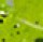 Съедобный Силикон Crazy Fish NANO MINNOW 22-55-54-4 Креветка