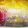 Воблер PONTOON 21 Bet-A-Shad 63F A15 GOLD BACK RED HEAD