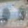 Воблер PONTOON 21 Danzante J 100F SR 850