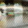 Воблер PONTOON 21 Deephase 70F 007