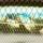 Воблер PONTOON 21 Dexter Minnow 71S SR 005