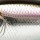 Воблер PONTOON 21 Mojarrilla 40F DR 900