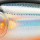 Воблер PONTOON 21 Mojarrilla 40F DR 912