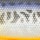 Воблер PONTOON 21 Preference Popper 65F A12