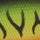 Воблер PONTOON 21 Preference Shad 55F DR A42