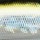 Воблер PONTOON 21 SapShad 65F SR R51