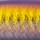 Воблер Lucky John Eco Slim Minnow 120F 12g E111