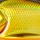 Воблер Lucky John Pro Series Vikara 62S 13g 107