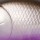 Воблер Lucky John Pro Series Haira Tiny Plus One 33LBF 4g 404