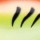 Воблер Rapala Scatter Rap Crank SCRC05 50F 9 g GFD