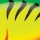 Воблер Rapala Scatter Rap Crank Shallow SSCRC05 50F 9 g FT