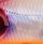 Воблер PONTOON 21 CrackJack 58SP MR 58mm 5.2gr A17