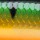 Воблер RAPALA Jointed Deep Husky Jerk JDHJ08 P