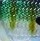 Мягкая приманка Storm Live Kickin Shad LKSD03 /BG