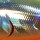 Воблер Kosadaka Roger Surf 36F 3.35g 0.1-0.3m LME