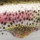 Воблер Rapala Scatter Rap CountDown SCRCD05 5S 5g RTL