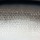 Воблер Rapala Scatter Rap Tail Dancer SCRTD09 9F 13g S