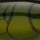 Воблер Rapala Scatter Rap Shad SCRS05 50F 5g MGRA