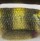 Воблер Rapala Scatter Rap Shad Deep DSCRS07 70F 7g PEL