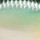 Воблер Rapala Scatter Rap Crank Shallow SSCRC05 50F 9 g BBH
