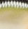 Воблер Rapala Scatter Rap Crank Shallow SSCRC05 50F 9 g SMSH