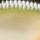 Воблер Rapala Scatter Rap Crank Deep DSCRC05 50F 9 g SMSH