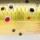 Воблер Rapala BX Jointed Minnow BXJM09 90F 8 g TR