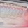 Воблер Rapala Clackin’ Minnow CNM07 70F 7 g S