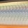 Воблер Rapala Clackin’ Minnow CNM07 70F 7 g TOSD