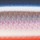 Воблер Rapala MaxRap Long Range Minnow MXLM12 120S 20 g FRST