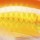 Воблер Rapala MaxRap Fat Shad MXRFS05 50F 8 g FGFR