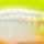 Воблер Rapala MaxRap Fat Shad MXRFS05 50F 8 g FHC