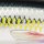 Воблер Rapala X-Rap CountDown XRCD05 50S 4 g ALB