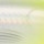 Воблер Rapala X-Rap Prop XRPR11 110F CGH