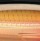 Воблер Rapala X-Rap Saltwater SXR10 100SP G