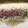 Воблер Rapala CountDown CD05 50S RTL