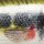 Воблер Rapala CountDown CD05 50S VAL