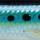 Воблер Rapala CountDown Magnum CDMAG07 70S SRD