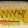 Воблер Rapala Super Shad Rap SSR14 140F JP