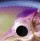 Воблер Rapala Glass Shad Rap GSR04 40SP GPS