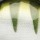 Воблер Rapala DT Fat Sure Set DTFATSS03 64F YP