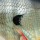 Воблер Rapala Dives-To DT16 70F BG