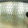 Воблер Rapala Rattlin' RNR04 40S BG