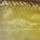 Мягкая приманка Storm Live Kickin Minnow 13g AY